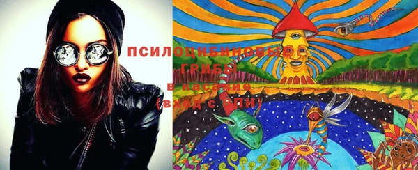apvp Михайлов