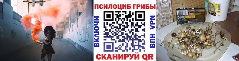 Псилоцибиновые грибы Psilocybe  Покровск 